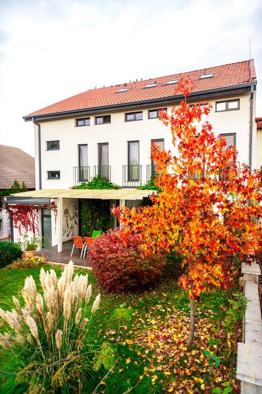 May Residence Dumbravita  Экстерьер фото